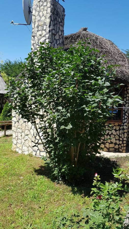 Pensiunea Iubire De Delta " La Traian " Murighiol Exterior foto